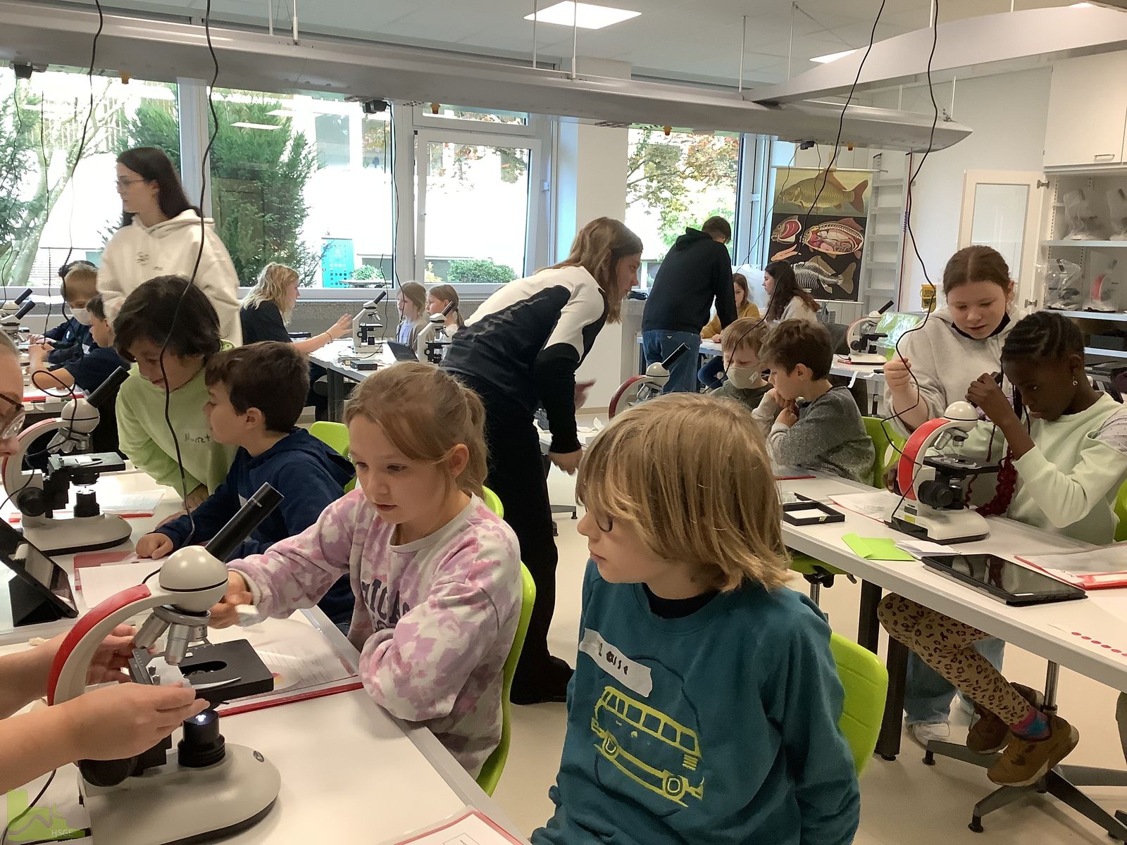 Kleine Forscher an der Hardenstein-Gesamtschule